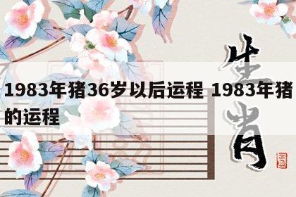 1983年猪36岁以后运程 1983年猪的运程