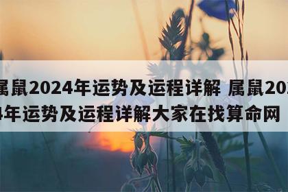 属鼠2024年运势及运程详解 属鼠2024年运势及运程详解大家在找算命网