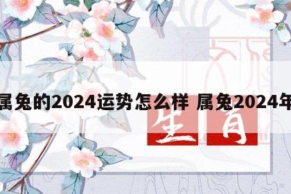 属兔的2024运势怎么样 属兔2024年