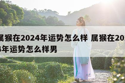 属猴在2024年运势怎么样 属猴在2024年运势怎么样男