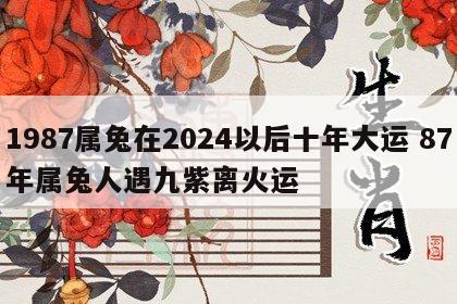 1987属兔在2024以后十年大运 87年属兔人遇九紫离火运