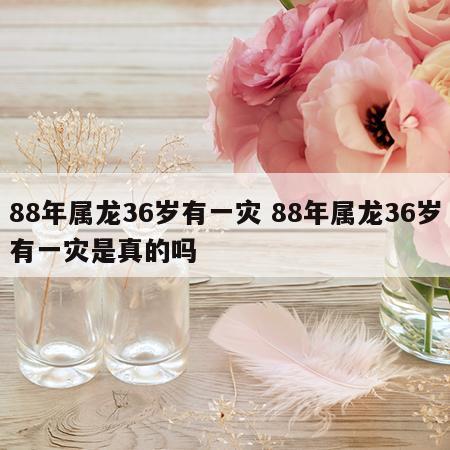 88年属龙36岁有一灾 88年属龙36岁有一灾是真的吗