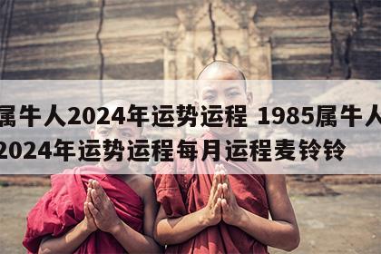 属牛人2024年运势运程 1985属牛人2024年运势运程每月运程麦铃铃
