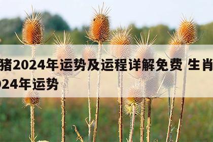 属猪2024年运势及运程详解免费 生肖猪2024年运势