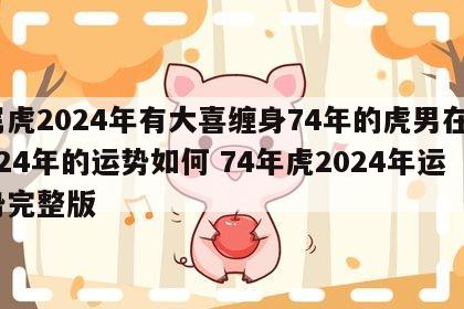 属虎2024年有大喜缠身74年的虎男在2024年的运势如何 74年虎2024年运势完整版