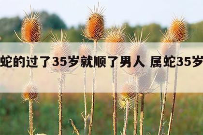 属蛇的过了35岁就顺了男人 属蛇35岁命运