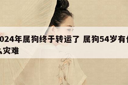 2024年属狗终于转运了 属狗54岁有什么灾难