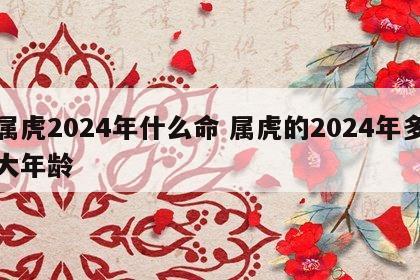 属虎2024年什么命 属虎的2024年多大年龄