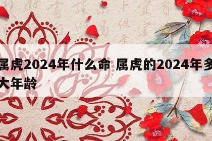 属虎2024年什么命 属虎的2024年多大年龄