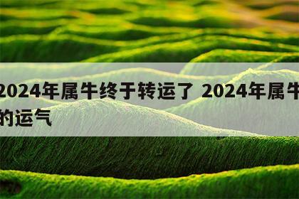 2024年属牛终于转运了 2024年属牛的运气