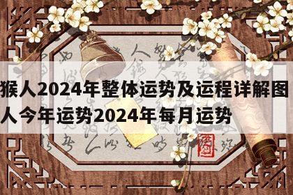 属猴人2024年整体运势及运程详解图 属猴人今年运势2024年每月运势