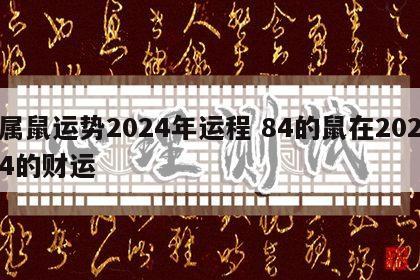 属鼠运势2024年运程 84的鼠在2024的财运