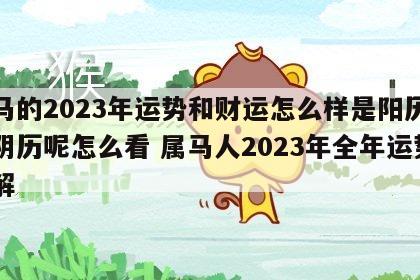属马的2023年运势和财运怎么样是阳历还是阴历呢怎么看 属马人2023年全年运势详解