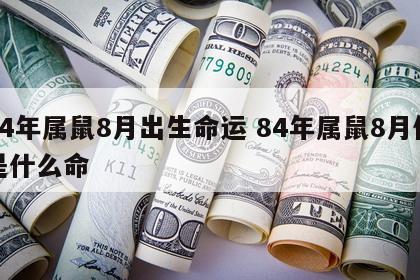 84年属鼠8月出生命运 84年属鼠8月份是什么命