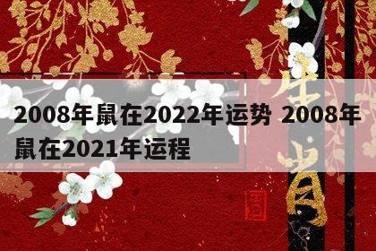 2008年鼠在2022年运势 2008年鼠在2021年运程