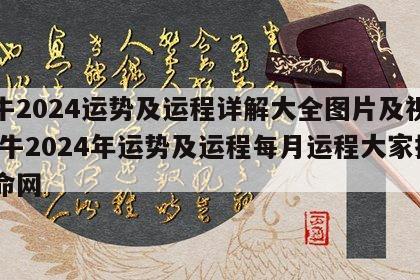 属牛2024运势及运程详解大全图片及视频 属牛2024年运势及运程每月运程大家找算命网