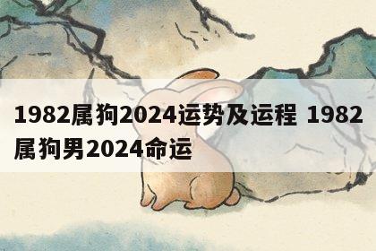 1982属狗2024运势及运程 1982属狗男2024命运