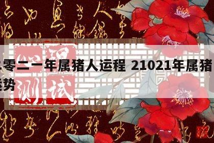 二零二一年属猪人运程 21021年属猪的运势