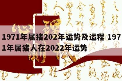 1971年属猪202年运势及运程 1971年属猪人在2022年运势