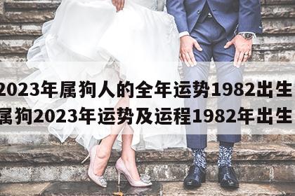 2023年属狗人的全年运势1982出生 属狗2023年运势及运程1982年出生