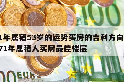 71年属猪53岁的运势买房的吉利方向 1971年属猪人买房最佳楼层