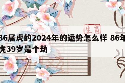 86属虎的2024年的运势怎么样 86年虎39岁是个劫