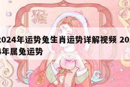 2024年运势兔生肖运势详解视频 2024年属兔运势