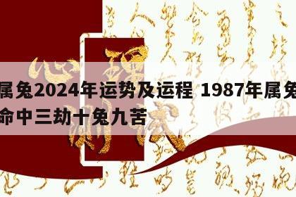 属兔2024年运势及运程 1987年属兔命中三劫十兔九苦
