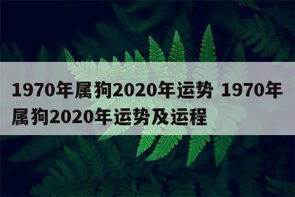 1970年属狗2020年运势 1970年属狗2020年运势及运程