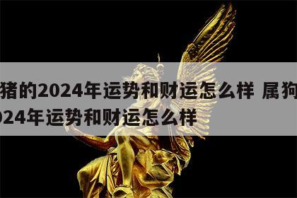 属猪的2024年运势和财运怎么样 属狗的2024年运势和财运怎么样