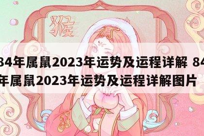 84年属鼠2023年运势及运程详解 84年属鼠2023年运势及运程详解图片
