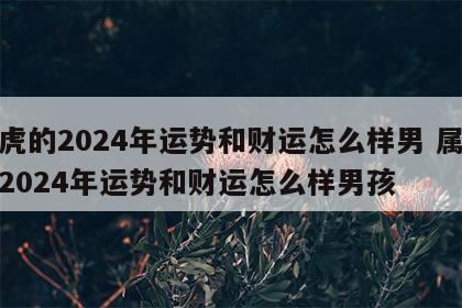 属虎的2024年运势和财运怎么样男 属虎的2024年运势和财运怎么样男孩