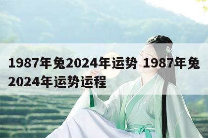 1987年兔2024年运势 1987年兔2024年运势运程