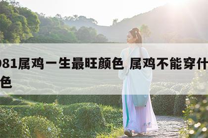 1981属鸡一生最旺颜色 属鸡不能穿什么颜色