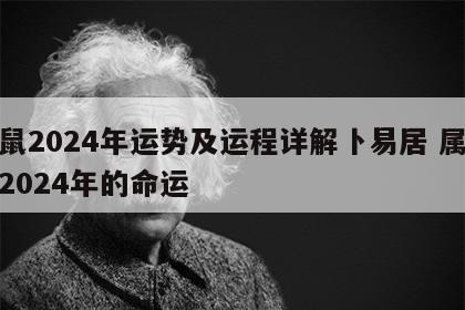 属鼠2024年运势及运程详解卜易居 属鼠人2024年的命运