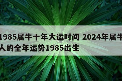 1985属牛十年大运时间 2024年属牛人的全年运势1985出生