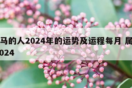 属马的人2024年的运势及运程每月 属马 2024