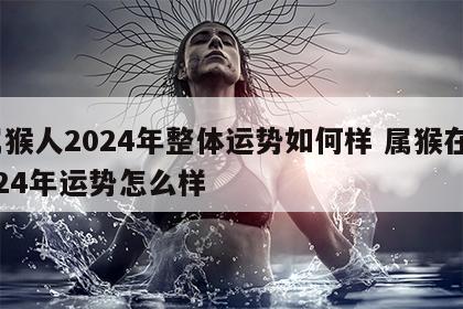 属猴人2024年整体运势如何样 属猴在2024年运势怎么样