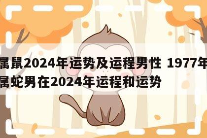 属鼠2024年运势及运程男性 1977年属蛇男在2024年运程和运势