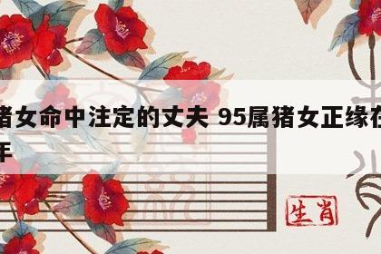 属猪女命中注定的丈夫 95属猪女正缘在哪一年