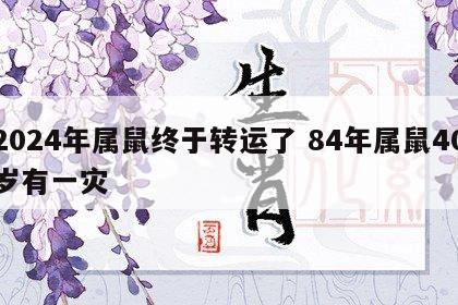 2024年属鼠终于转运了 84年属鼠40岁有一灾