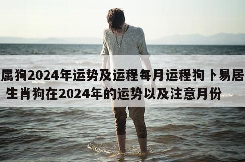 属狗2024年运势及运程每月运程狗卜易居 生肖狗在2024年的运势以及注意月份