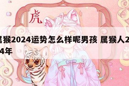 属猴2024运势怎么样呢男孩 属猴人2024年