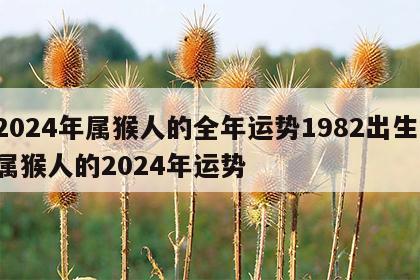 2024年属猴人的全年运势1982出生 属猴人的2024年运势
