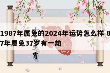 1987年属兔的2024年运势怎么样 87年属兔37岁有一劫