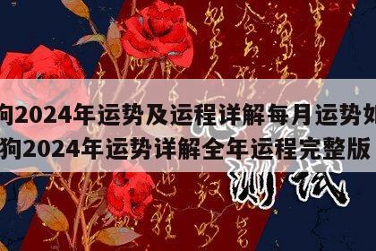 属狗2024年运势及运程详解每月运势如何 属狗2024年运势详解全年运程完整版