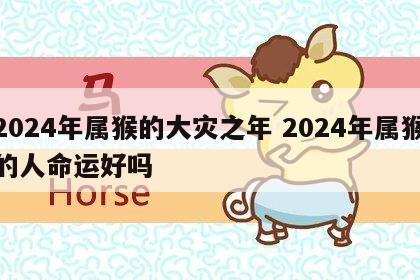 2024年属猴的大灾之年 2024年属猴的人命运好吗