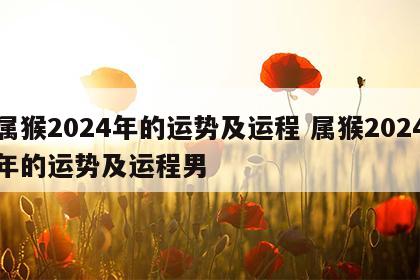 属猴2024年的运势及运程 属猴2024年的运势及运程男
