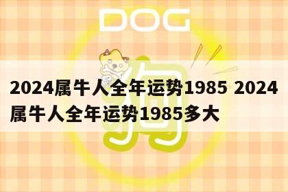 2024属牛人全年运势1985 2024属牛人全年运势1985多大