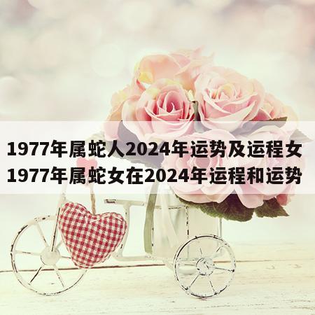 1977年属蛇人2024年运势及运程女 1977年属蛇女在2024年运程和运势
